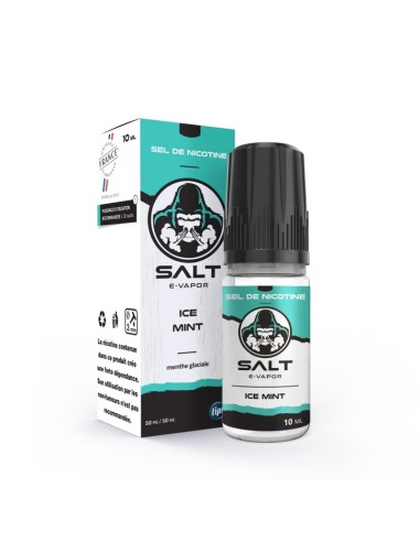 ICE MINT SALT E-VAPOR FRENCH LIQUIDE 10 ML