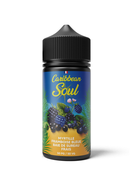 E-liquide Caribbean Soul Mangue Raisin 100ml - Grand format | Kumo