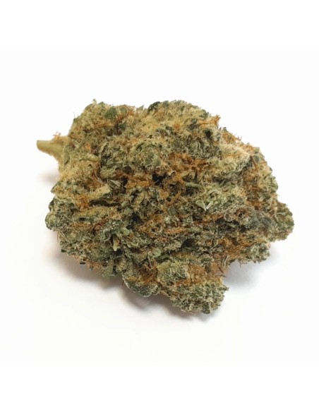 Fleurs CBD Fruity Oop 10g - Notes fruitées et céréalières | Kumo