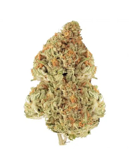 Fleur CBD OG Kush 5g Greeneo | Qualité Premium | Kumo