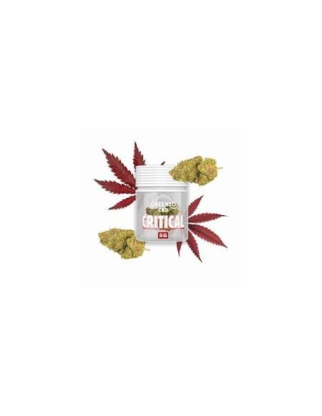 Fleur CBD Critical 5g Greeneo | Qualité Premium | Kumo