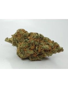 Tropical Dream 5g Fleurs CBD GC Distri | Kumo