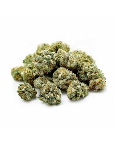 California Haze CBD - Fleur Premium Papy CBD | Kumo