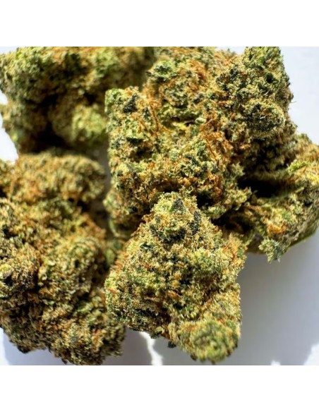 Mango Kush Greenhouse 5g Fleur CBD Kumo | Kumovape.fr