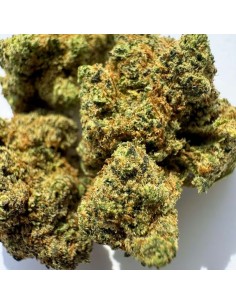 Mango Kush Greenhouse 2g Fleur CBD Kumo | KumoVape