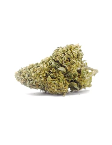 Super Skunk Indoor 5G Fleur CBD Kumo | Qualité Premium